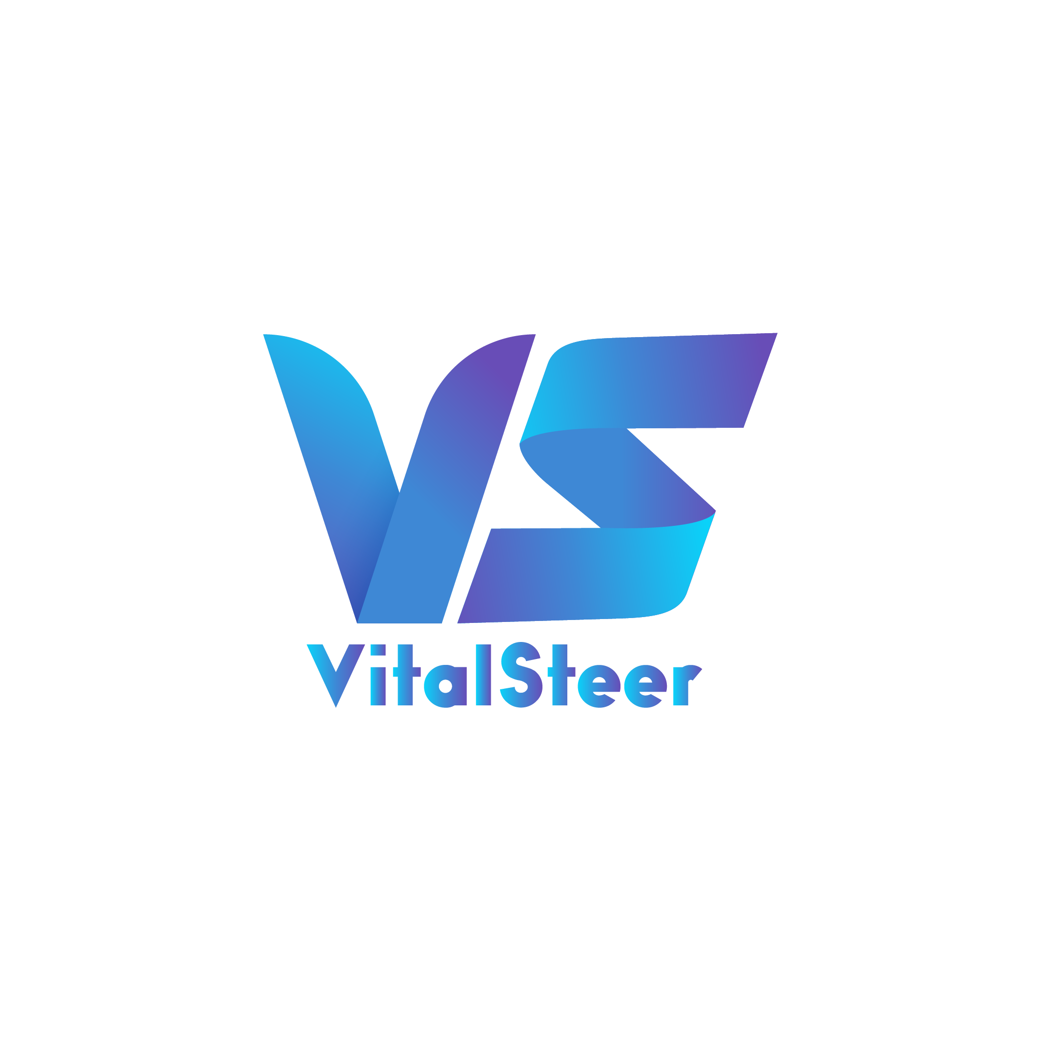 Vital Steer Logo